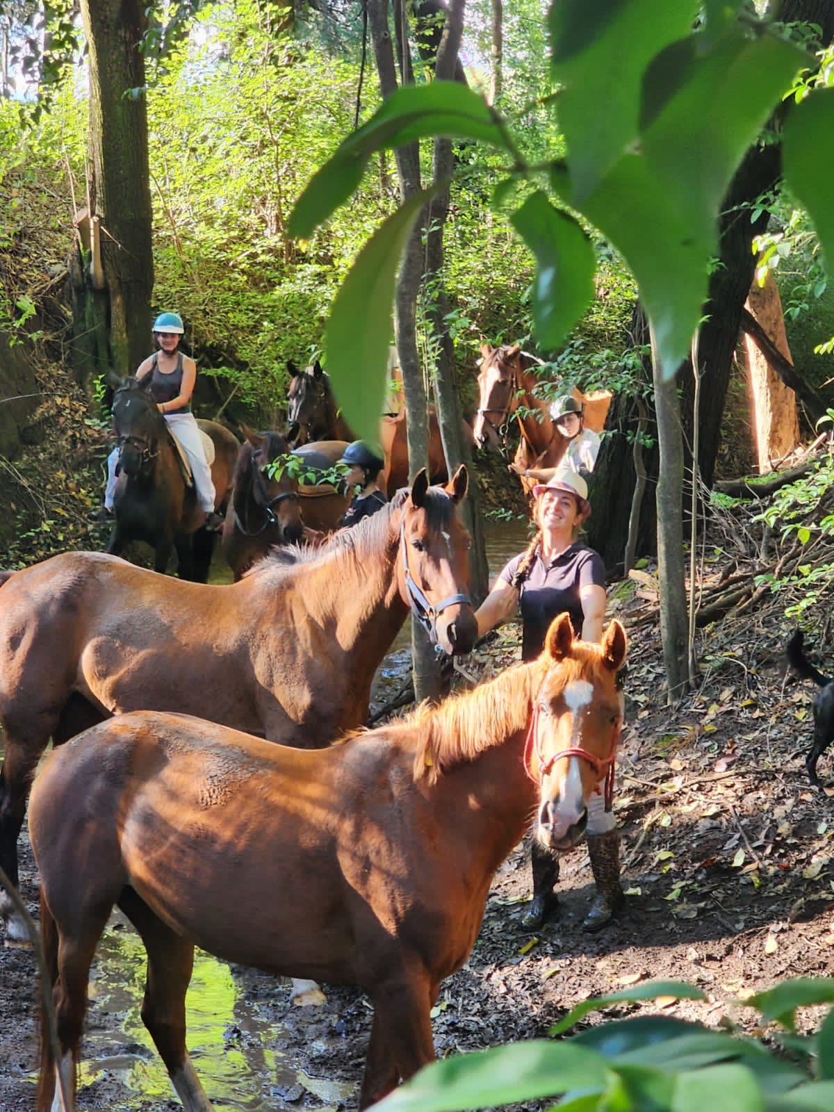 Paseo a caballo en las sierras de Rio Ceballos - Escuela Hipica Equisapiens