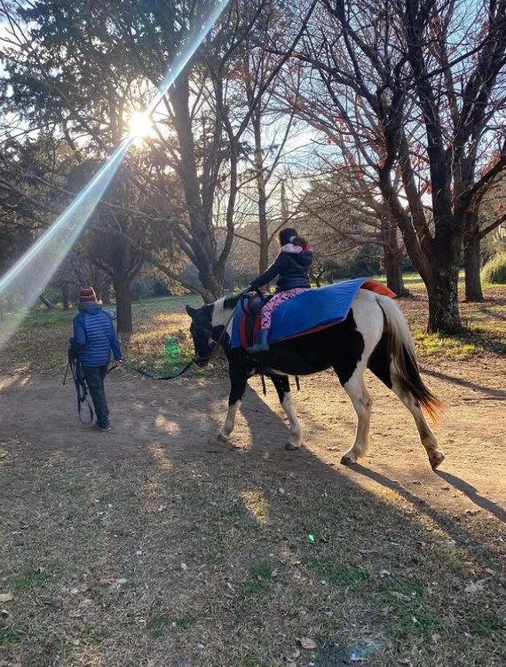 Paseo terapéutico a caballo entre los árboles del predio