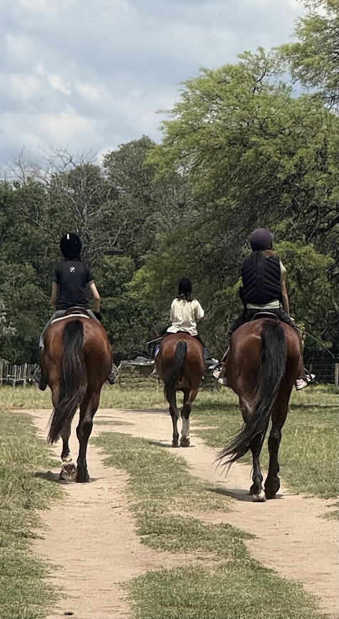 Dos jinetes realizando un paseo ecuestre